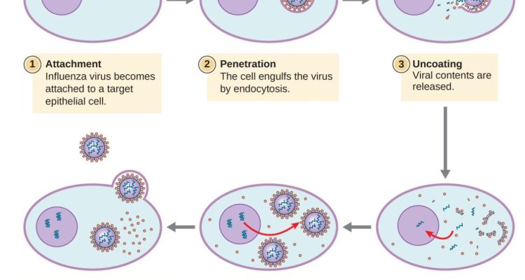Viral Tech Innovations Transforming Modern Workplaces