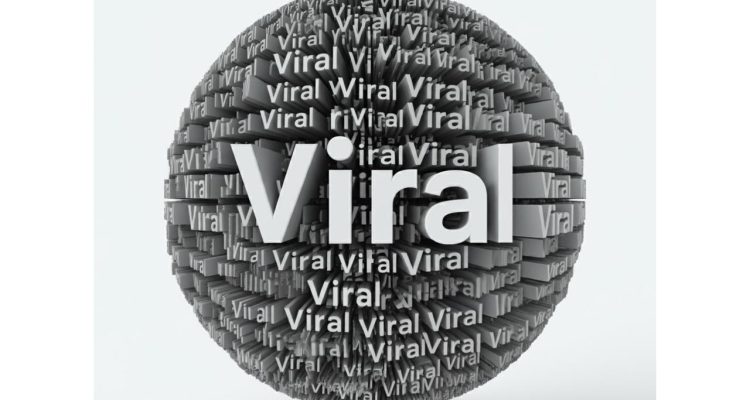 Viral Insurance Innovations Empowering Low Income Families